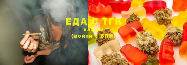 дживик Бородино