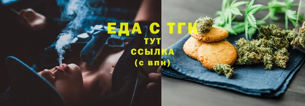 дживик Бородино