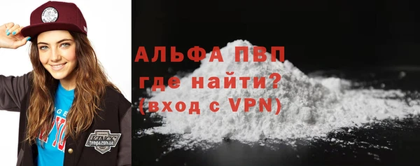 дживик Бородино