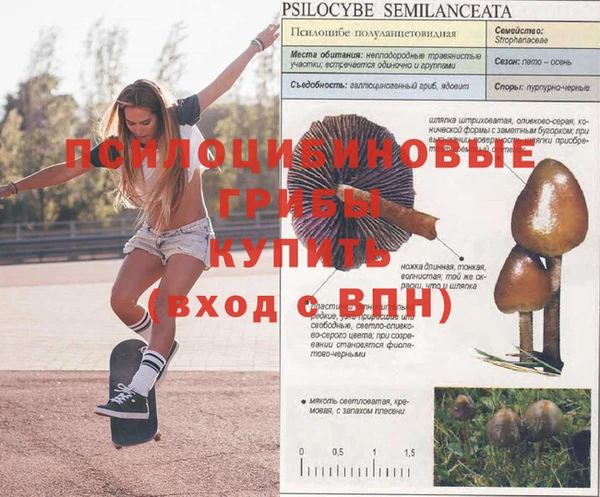 дживик Бородино