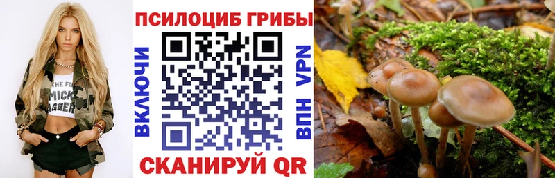 Галлюциногенные грибы ЛСД Верхнеуральск